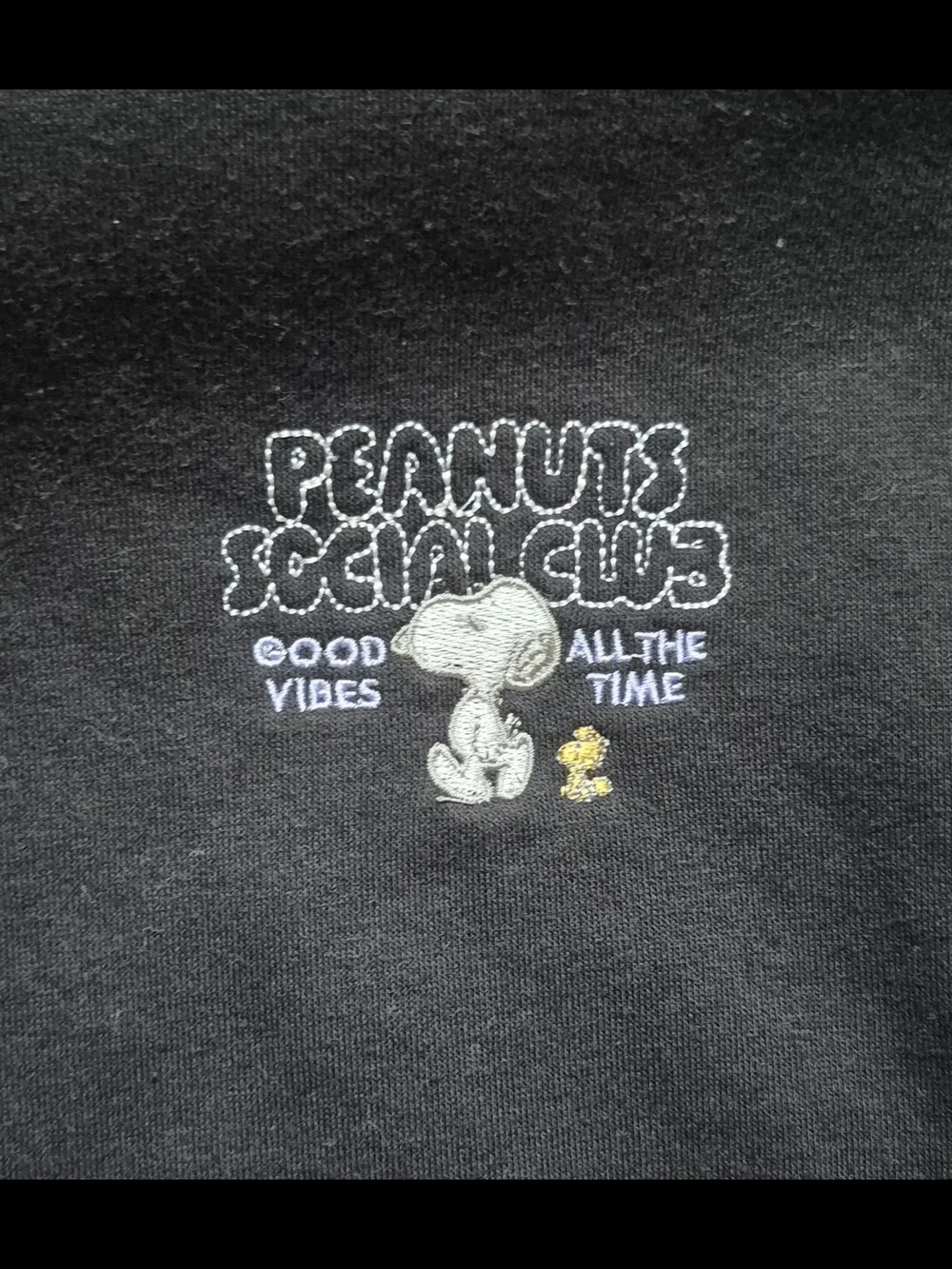 Peanuts Snoopy Social Club Hoodie